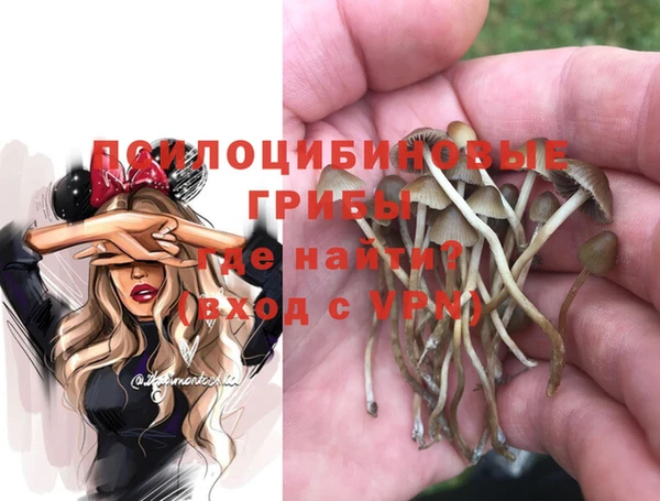 a pvp Абинск
