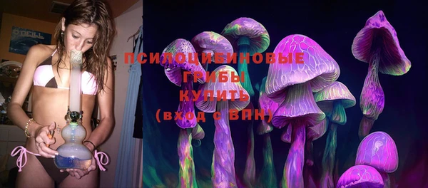 стаф Абдулино