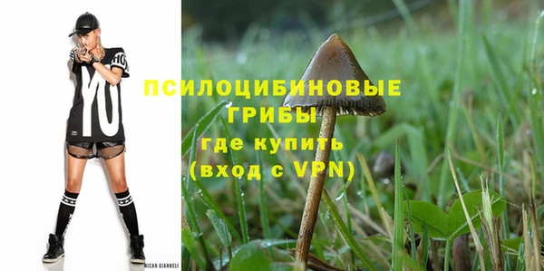 стаф Абдулино